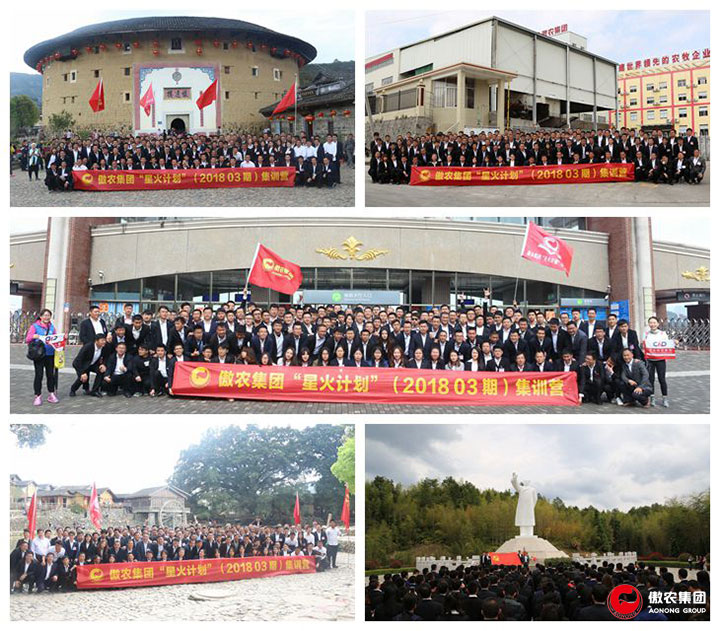 9001诚信金沙(中国)有限公司