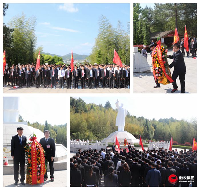 9001诚信金沙(中国)有限公司