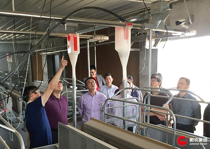 9001诚信金沙(中国)有限公司