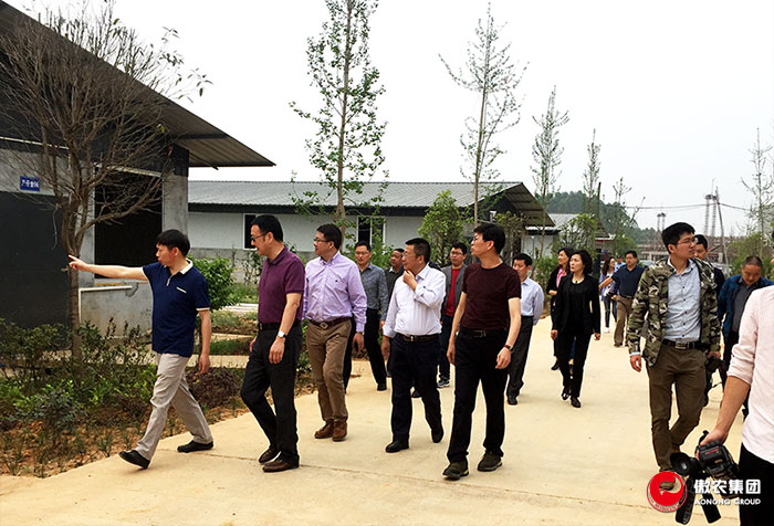 9001诚信金沙(中国)有限公司