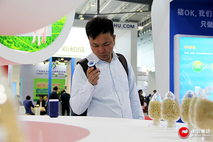 9001诚信金沙(中国)有限公司