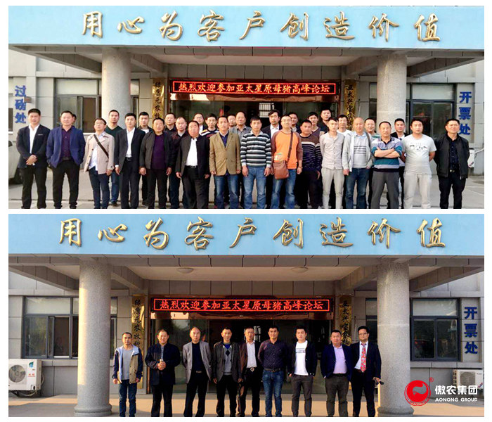 9001诚信金沙(中国)有限公司