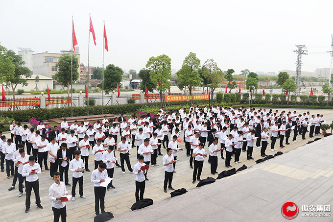 9001诚信金沙(中国)有限公司