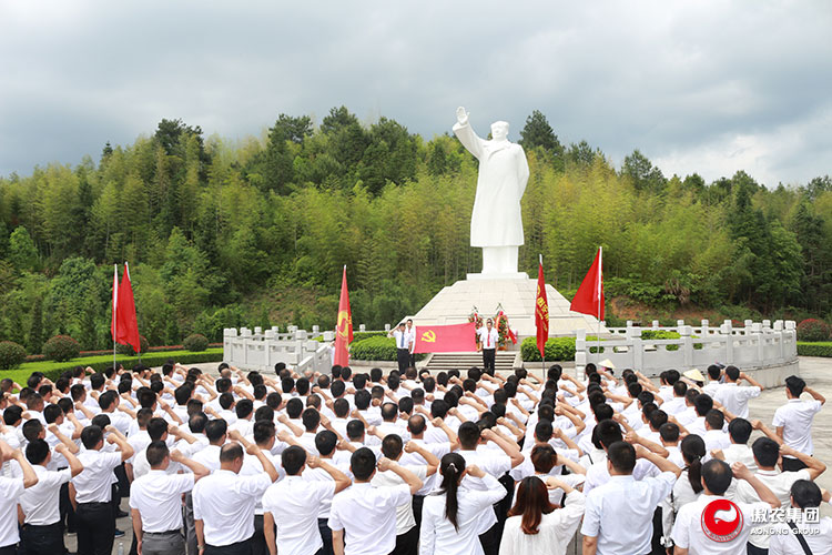 9001诚信金沙(中国)有限公司