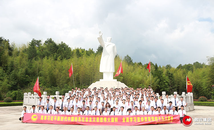 9001诚信金沙(中国)有限公司