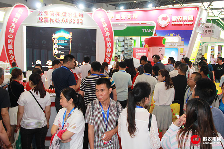 9001诚信金沙(中国)有限公司