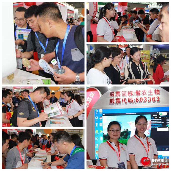 9001诚信金沙(中国)有限公司