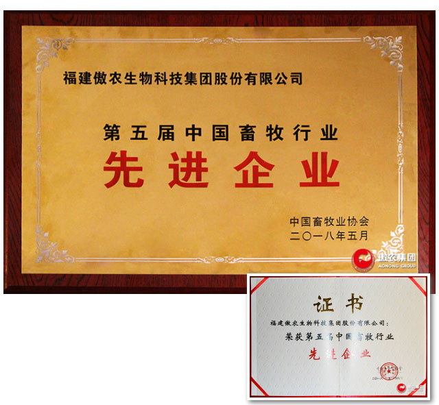 9001诚信金沙(中国)有限公司