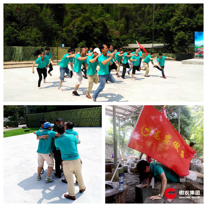 9001诚信金沙(中国)有限公司