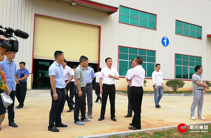 9001诚信金沙(中国)有限公司