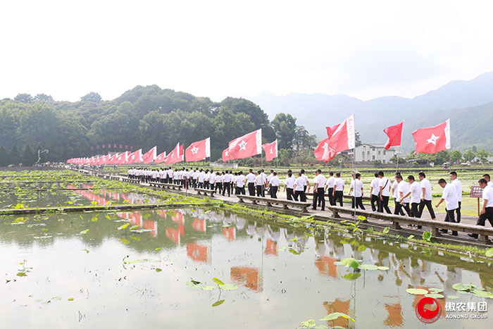 9001诚信金沙(中国)有限公司