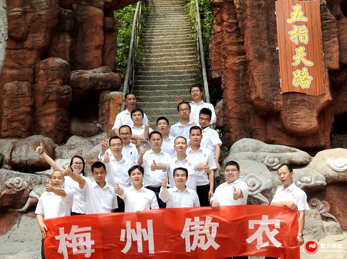 9001诚信金沙(中国)有限公司