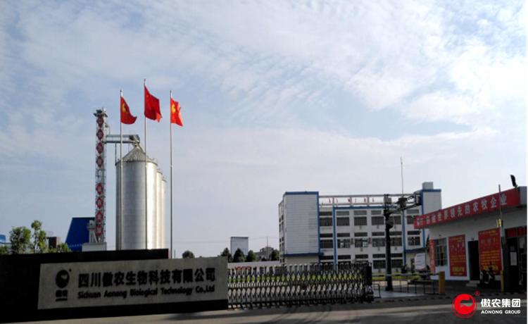 9001诚信金沙(中国)有限公司