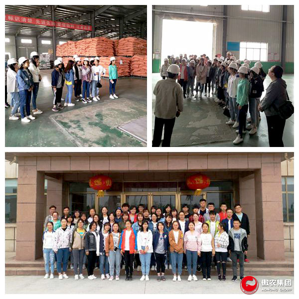 9001诚信金沙(中国)有限公司