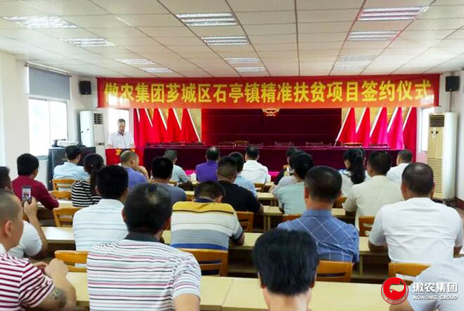 9001诚信金沙(中国)有限公司