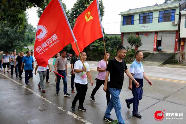 9001诚信金沙(中国)有限公司