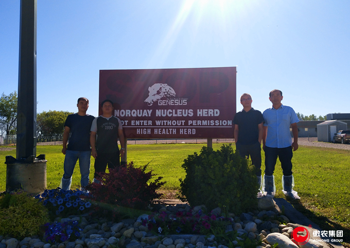 9001诚信金沙(中国)有限公司