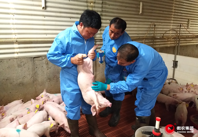 9001诚信金沙(中国)有限公司