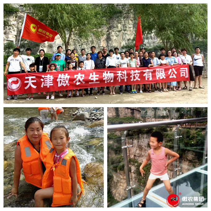 9001诚信金沙(中国)有限公司