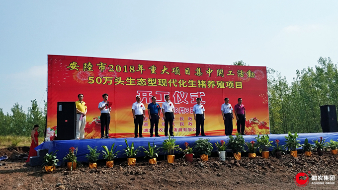 9001诚信金沙(中国)有限公司