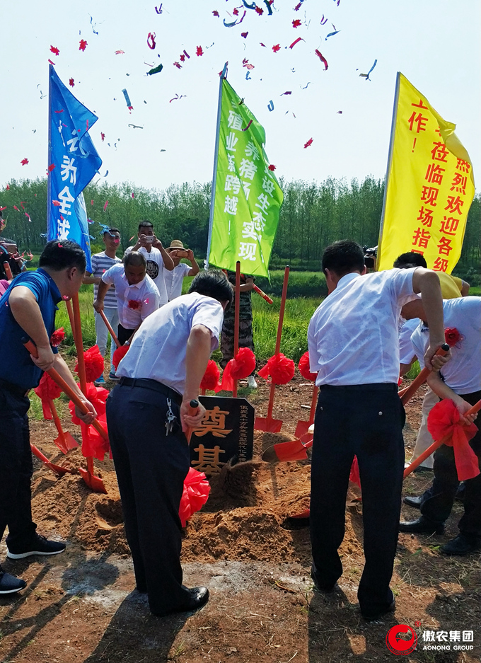 9001诚信金沙(中国)有限公司