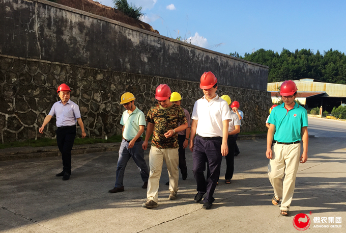 9001诚信金沙(中国)有限公司