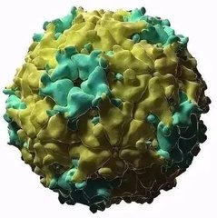 9001诚信金沙(中国)有限公司