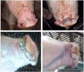 9001诚信金沙(中国)有限公司