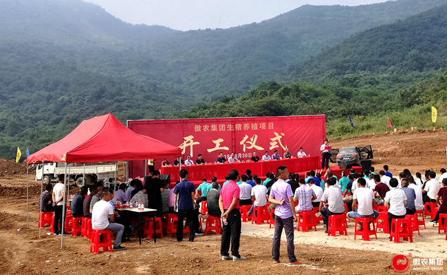 9001诚信金沙(中国)有限公司