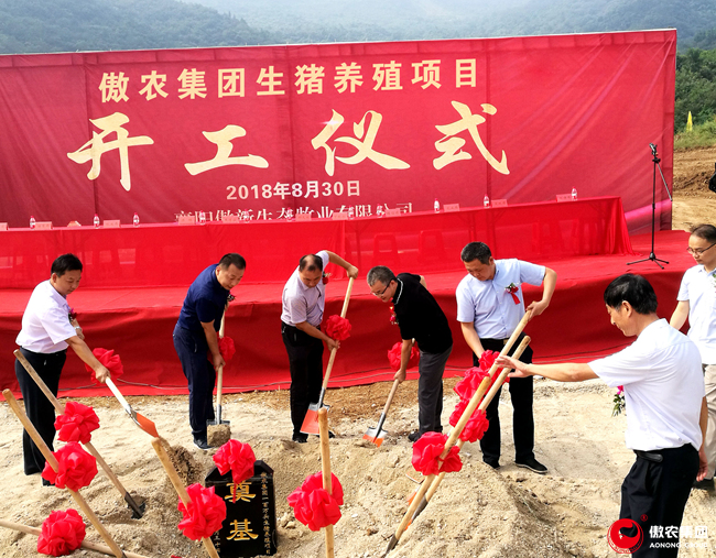 9001诚信金沙(中国)有限公司