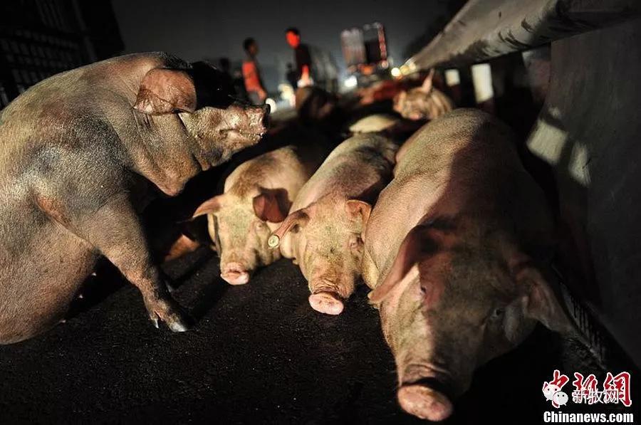 9001诚信金沙(中国)有限公司