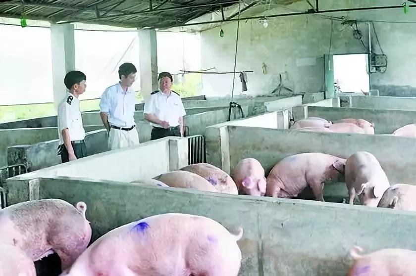 9001诚信金沙(中国)有限公司