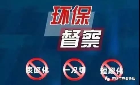 9001诚信金沙(中国)有限公司