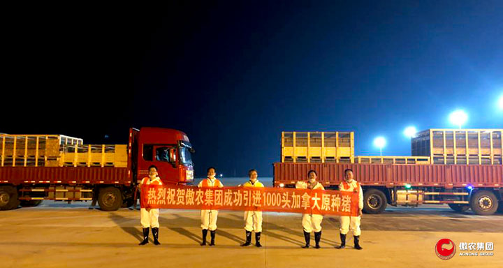 9001诚信金沙(中国)有限公司