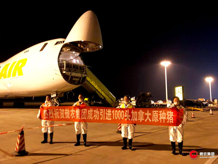 9001诚信金沙(中国)有限公司