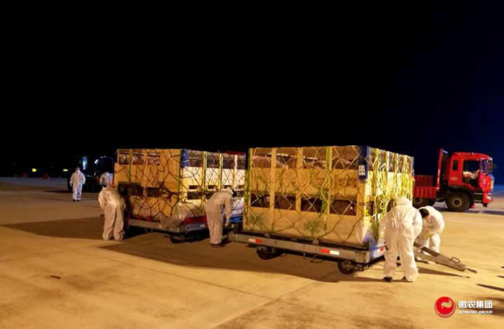 9001诚信金沙(中国)有限公司