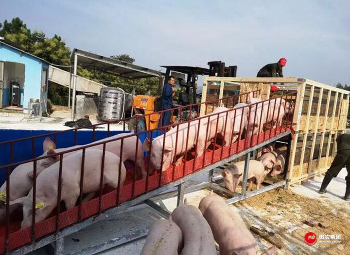 9001诚信金沙(中国)有限公司