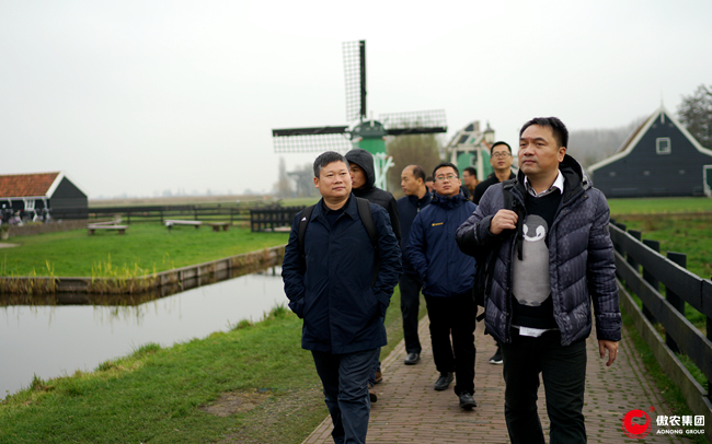 9001诚信金沙(中国)有限公司