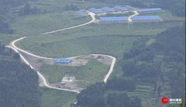 9001诚信金沙(中国)有限公司