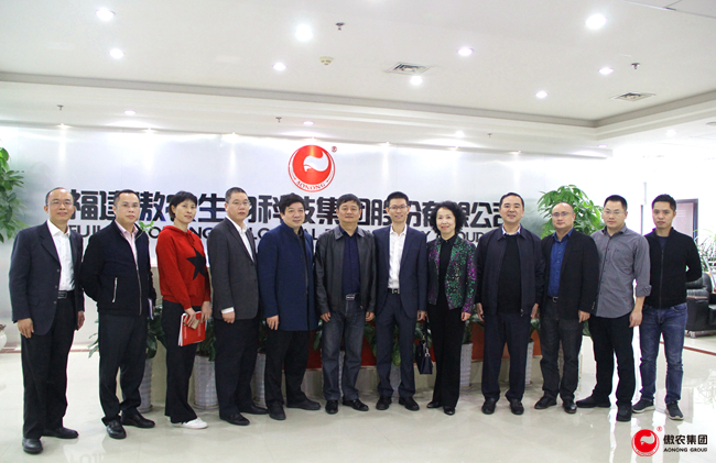 9001诚信金沙(中国)有限公司