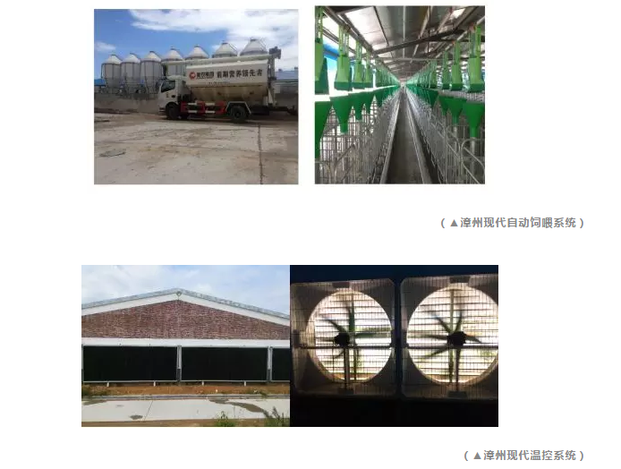 9001诚信金沙(中国)有限公司