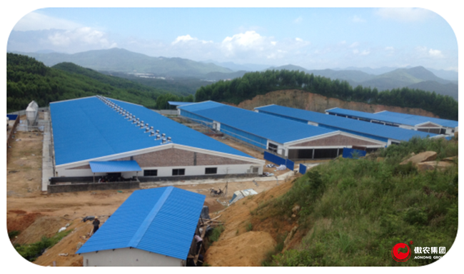 9001诚信金沙(中国)有限公司