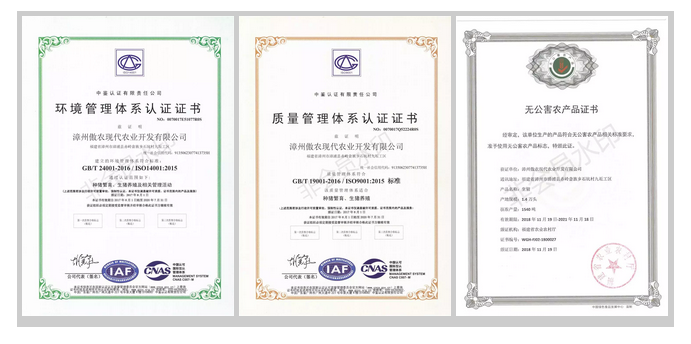 9001诚信金沙(中国)有限公司