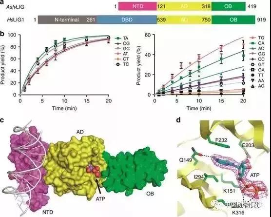 9001诚信金沙(中国)有限公司