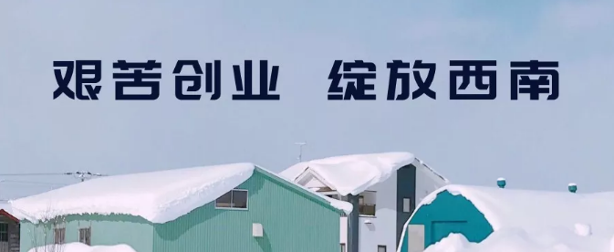 9001诚信金沙(中国)有限公司