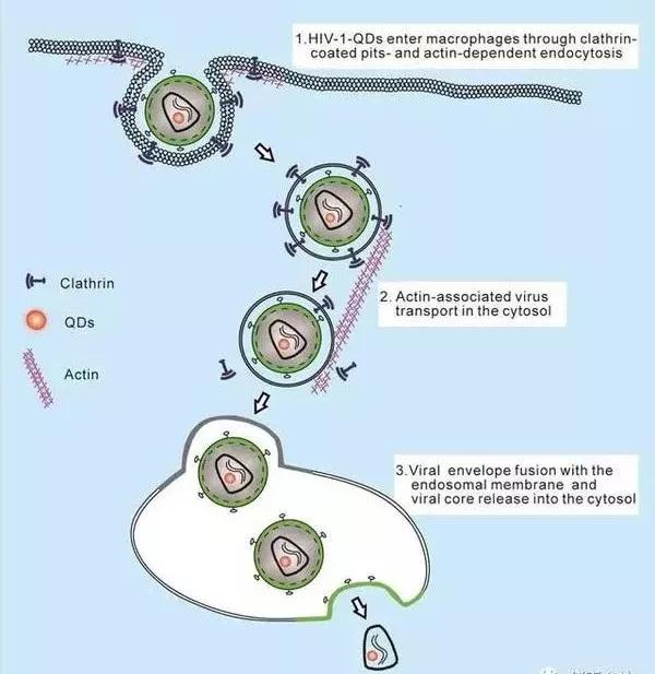 9001诚信金沙(中国)有限公司