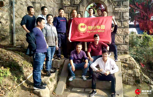 9001诚信金沙(中国)有限公司