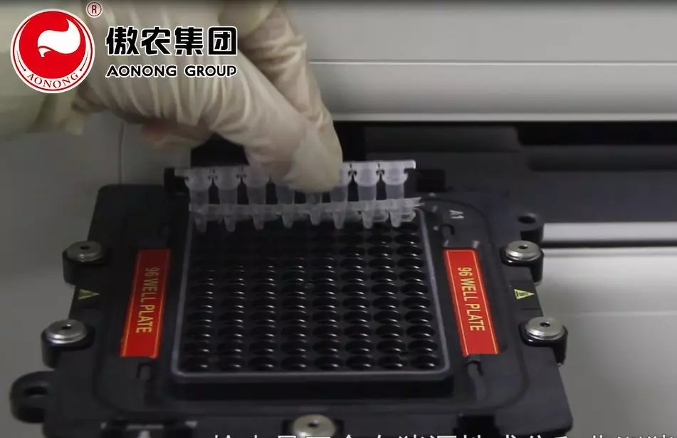 9001诚信金沙(中国)有限公司