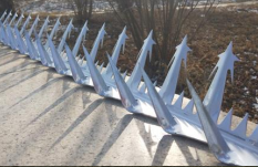 9001诚信金沙(中国)有限公司