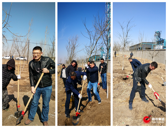 9001诚信金沙(中国)有限公司